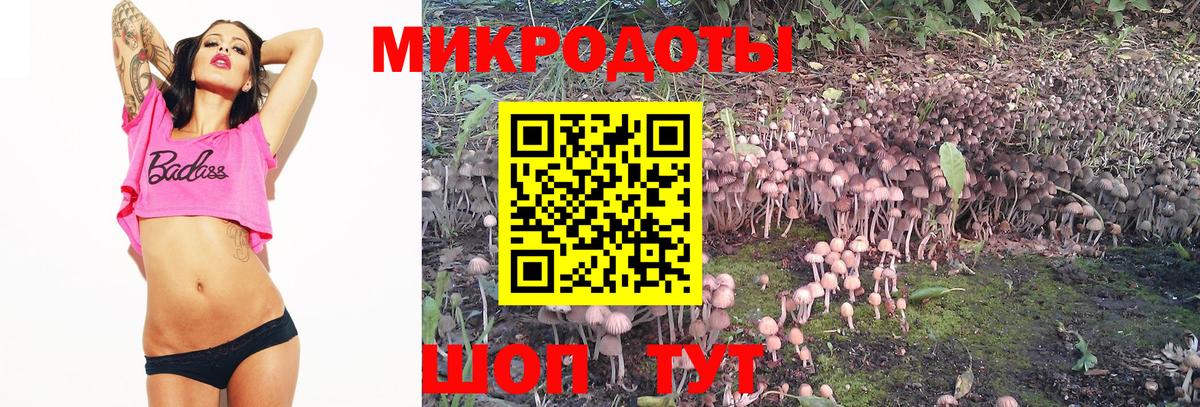 даркнет сайт  Галлюциногенные грибы мицелий  Вход с VPN  Владимир 
